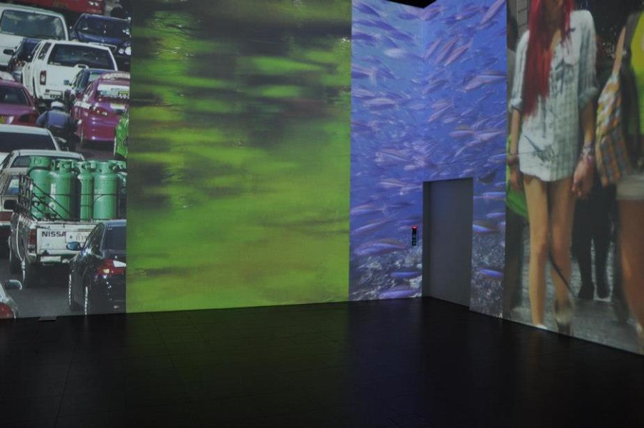 480990_10151532796122079_1275542658_n